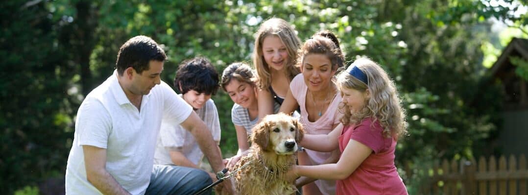 group of people standing on green grass field during daytime
